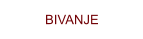 BIVANJE