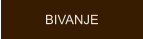 BIVANJE